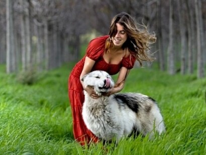 Os lobos saudáveis e as mulheres saudáveis têm certas características psíquicas em comum: percepção aguçada, espírito brincalhão e uma elevada capacidade para a devoção