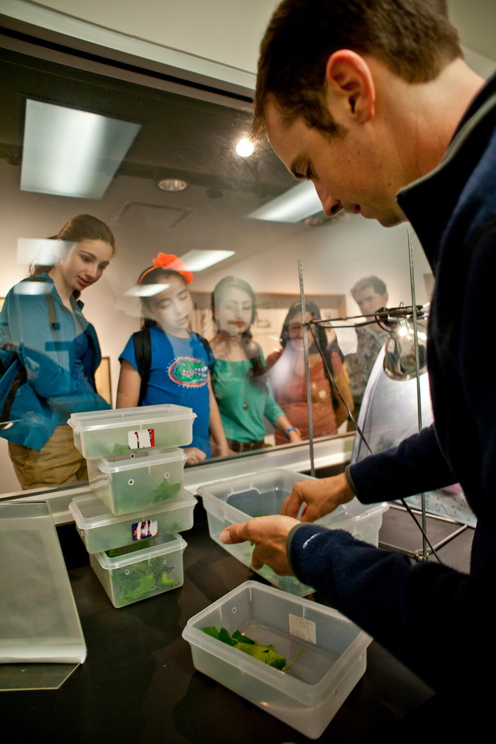 Indoor Butterfly Exhibits. Courtesy of Florida Museum of Natural History