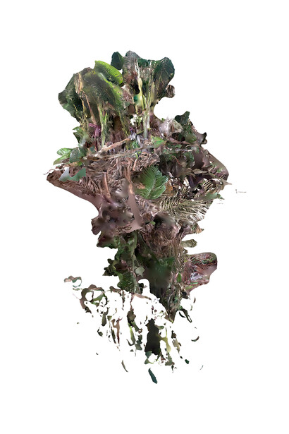 Finn Maätita, Tones of the ecotone, 2025. Courtesy of Foam © Finn Maätita & Jerrold Saija