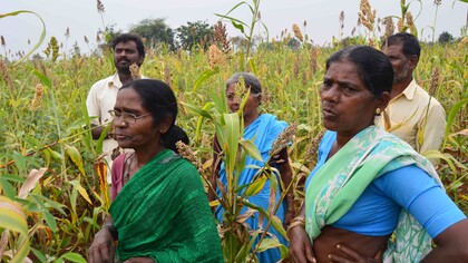 Deccan Development Society (India) farmers - climate transition needs to support agroecological alternatives like these @ Ashish Kothari