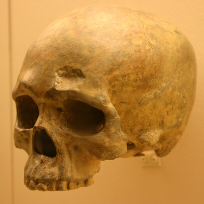 Teschio di Homo sapiens, 68.000 anni, Grotta di Liujiang.