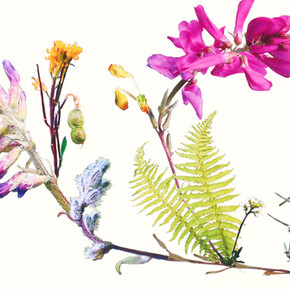 Jennifer Wanner. Second Nature. Courtesy of Glenbow 