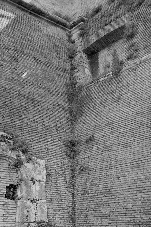 Catherine Opie, Untitled #7 (Walls) (detail), 2023,
pigment print and two marble plinths
84 x 30 inches (image)
© Catherine Opie. Courtesy Regen Projects, Los Angeles and Lehmann Maupin, New York, Seoul, and London