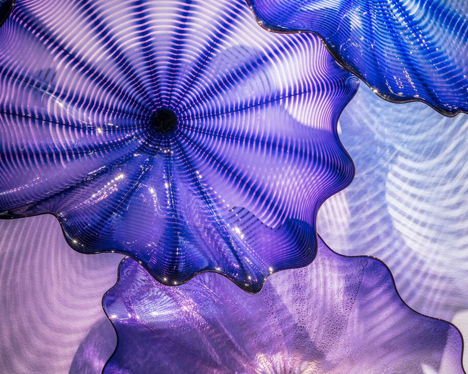 Chihuly Now. Courtesy of Halcyon Gallery