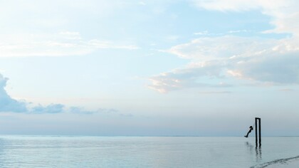 «Ninguna persona es una isla; la muerte de cualquiera me afecta / porque me encuentro unido a toda la humanidad; por eso, nunca / preguntes por quién doblan las campanas; doblan por ti» (John Donne)