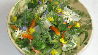 Gargouillou de legumes. Gargouillou, o prato-assinatura de Michel Bras (n. Gabriac, 1946) que nunca é o mesmo