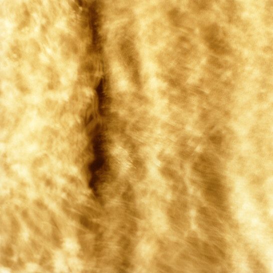 Lydia Goldblatt, Air's Filigree, 2010-2013, Chromogenic print, 20 x 20 inches, edition of 6