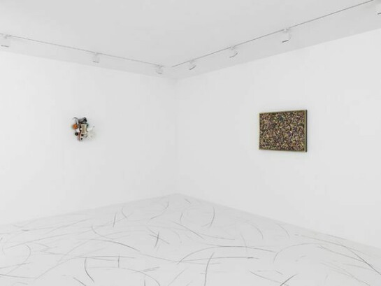 "Piotr Uklański: Floored", Installation view. Photo by Annik Wetter © 2013 Piotr Uklański. Courtesy Gagosian Gallery