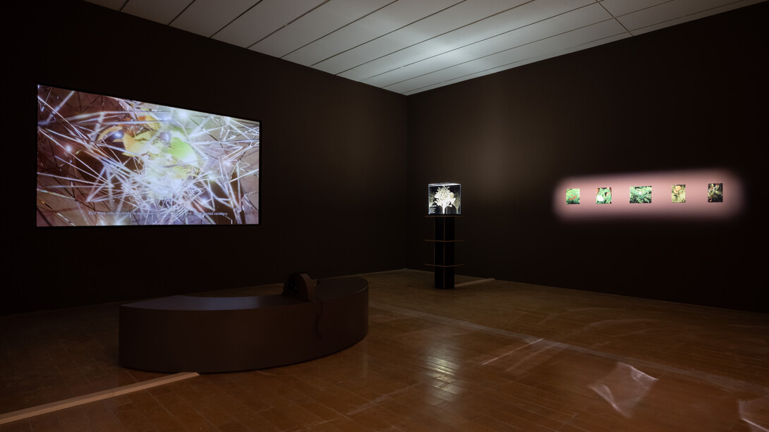 Echoes of the past, promises of the future, exhibition view. Courtesy of MacLyon