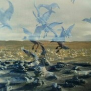 Richie Culver, Jason And The Astronauts, 2013, C-Print 660 x 1000 mm