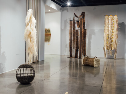 Rosana Escobar and Vanessa Gómez, Feraz encuentros con lo natural, exhibition view. Courtesy of La Cometa Gallery