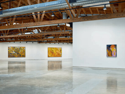 Christina Kimeze, Long loops, exhibition view. Courtesy of Hauser & Wirth Gallery