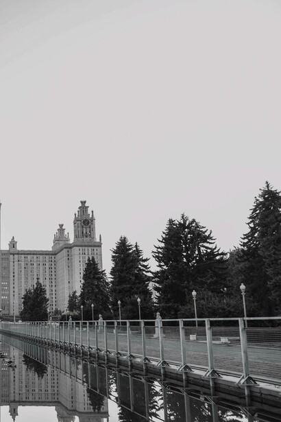 Trees by Moscow State University, Moscow, Russia