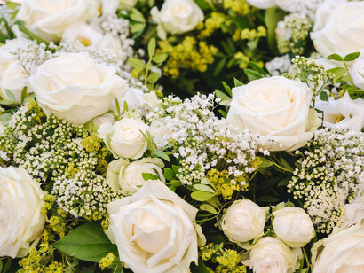 Juanito murió en su ley, mientras convivía y se mimetizaba con la naturaleza