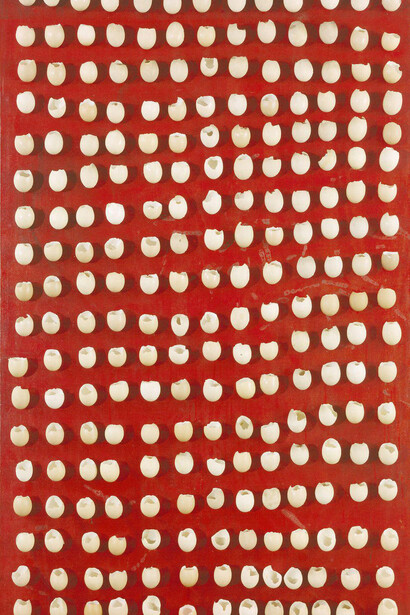 .Broodthaerskabinet. Courtesy of S.M.A.K