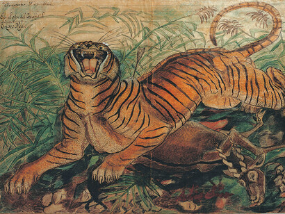 Antonio Ligabue, Tigre reale, china e pastelli a cera su carta intestata dell’Ospedale Psichiatrico San Lazzaro di Reggio Emilia, 1941, 36 x 50 cm
