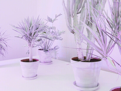 Andrew Dadson. Courtesy of The Contemporary Art Gallery