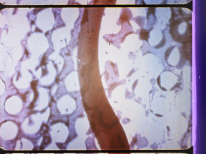 Direct bodily empathy. Sensing sound, artwork in exhibition. Courtesy of Govett-Brewster Gallery