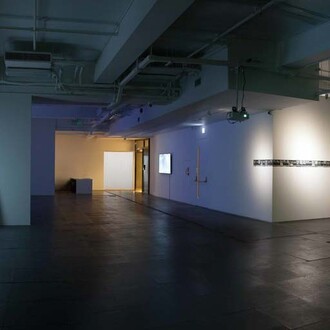 Xin Yunpeng. Courtesy of de Sarthe Gallery