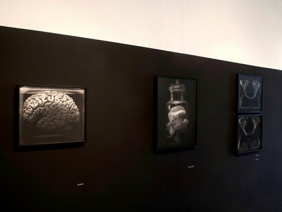 OJardim, Exhbition view. Courtesy of Galeria Mezanino