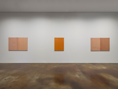 Nature rules, exhibition view. Courtesy of Kukje Gallery 