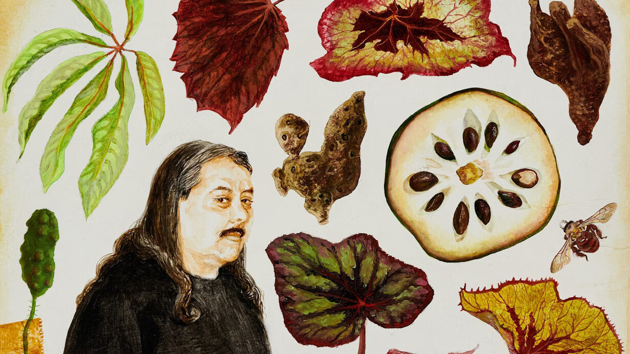 Renée Stout, Botanical illustration #3 (the Herbmaster, James Luna), 2020. Collection of the Nasher Museum of Art at Duke University, Durham, North Carolina. Museum purchase, 2021.23.1. Courtesy of Renée Stout and Pérez Art Museum Miami. Photo by Peter Paul Geoffion