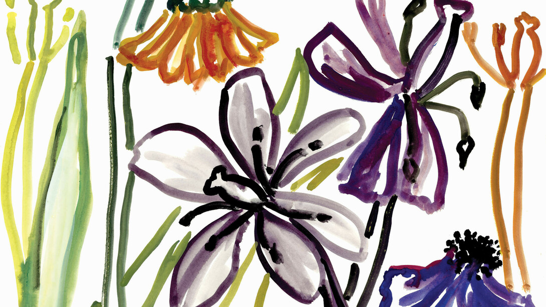 Nerys Johnson, Flowers in outline I, gouache 1999, 44.5 x 57 cm