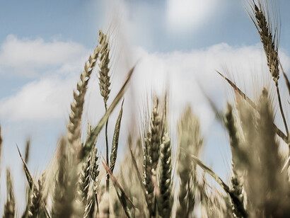 La France écologique. La loi climat et résilience renforce aussi l’éducation à l’environnement pour les plus jeunes, encadre la publicité, et protège notre nature et nos sols agricoles en luttant contre l’artificialisation des sols