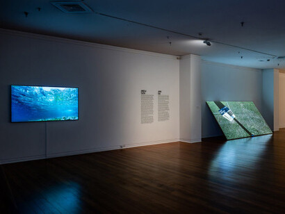 Various artists, Staying power, exhibition view. Courtesy of Dunedin Public Art Gallery