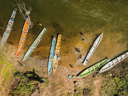 Descubra a riqueza da Amazônia: um bioma único, lar de milhões de vidas, incluindo povos indígenas, e crucial para o equilíbrio climático global