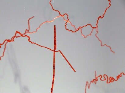 Intermittent Topographies, Exhibition view. Courtesy of Casa Nova Arte e Cultura Contemporanea