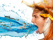 Heinz Schattner, Frog 58x28,3cm Hahnemuehle Barytata