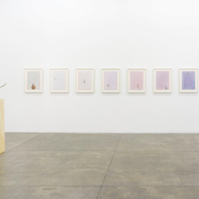 Instances of Seeing, Exhibition view. Courtesy of Fortes D’Aloia & Gabriel