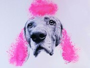 Robbins & Roberts, Pussypoodle