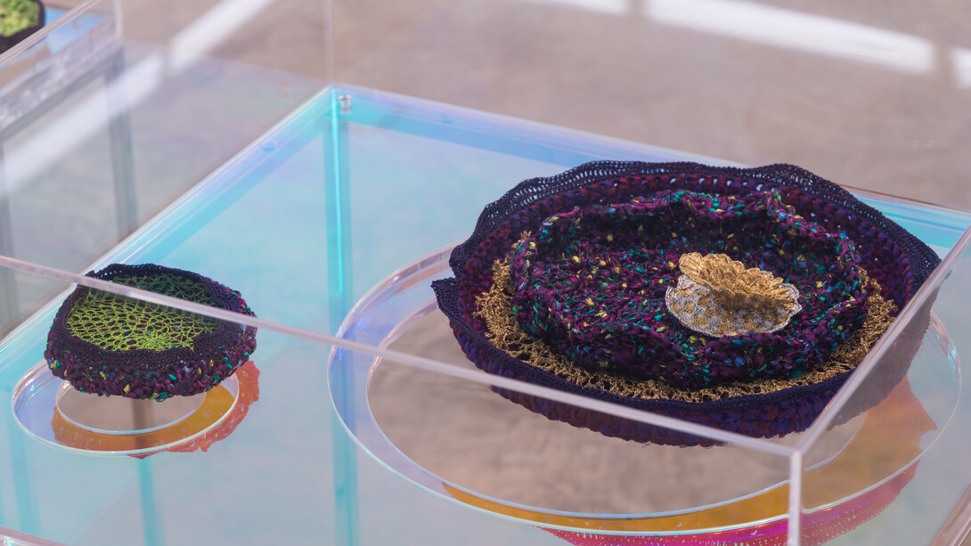 Ana Maria Tavares: Euryale Amazonica, Sicardi Gallery installation view, October 30 - December 20, 2014. Photography by Logan Sebastian Beck.