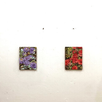 Fons Van Laar, Singing of Mount Abora, exhibition view. Courtesy of Rebecca Hossack Art Gallery
