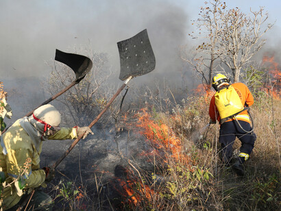 Incêndio no Parque Nacional de Brasília em 2024, Brasil
