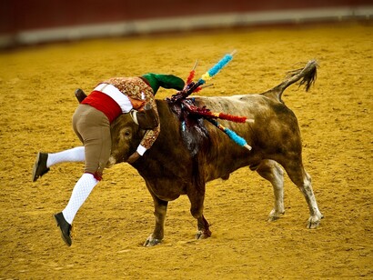 Corrida de toros al estilo portugués