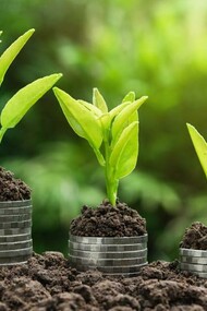 Green economy