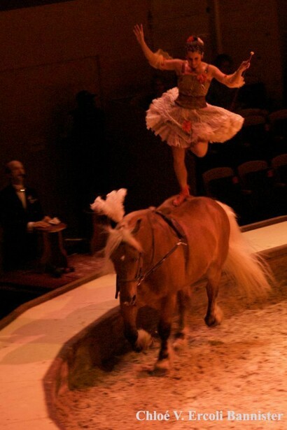 Horse show or Toulouse-Lautrec painting?
