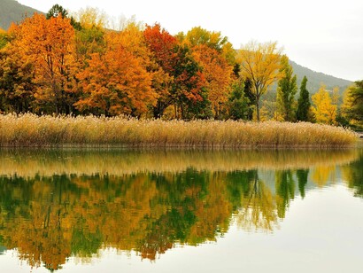 Colores otoñales a la orilla del río Júcar
