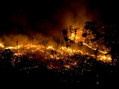 The destruction of the Amazon rainforest has increased under the administration of the Bolsonaro government