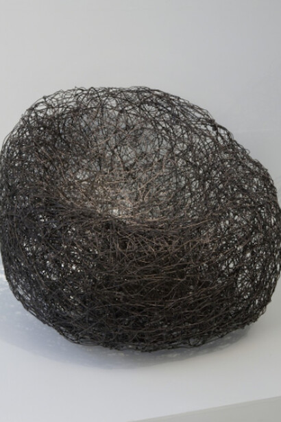 dna10. Courtesy of Friedman Benda