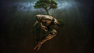 The Tree of Life