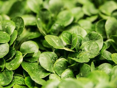 Vegetais verdes frutas cítricas e vermelhas fazem sua pele parecer mais vibrante e saudável
