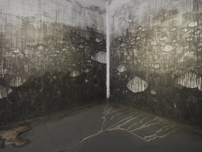 Sujin Lim, The land, dark and muddy, exhibition view. Courtesy of the International Studio & Curatorial Program (ISCP)