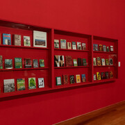 Artisti vari, Macunaíma è Duwid, vista dell’esposizione. Cortesia della Pinacoteca