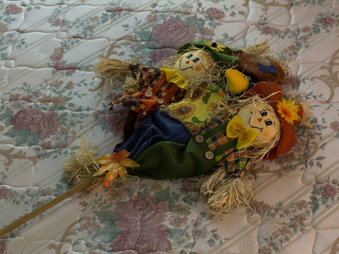 Stephen G. Rhodes, The Eleventh Hobby, 2014, detail, courtesy Vilma Gold, London