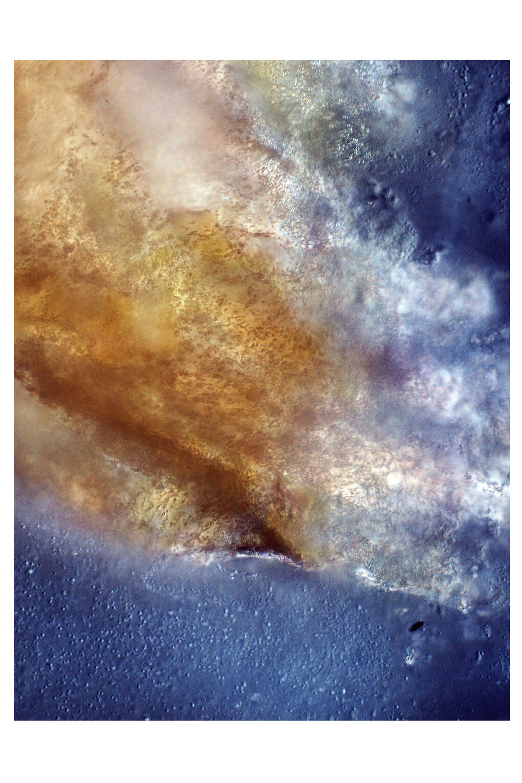 Microphotograph of Stelsel 8 (system 8), 2011, Joris Jansen © Joris Rafael Jansen