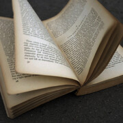 George Eksts, A short history of the world, 2011